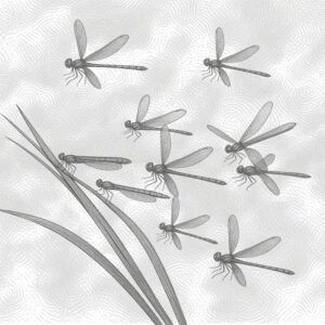 A swarm of dragonflies representing Morph as one of many taking part in collective community action toward a circular economy in #8: Change requires community.