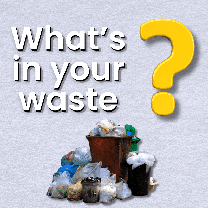 An illustrated graphic asking What's in your waste? representing Morph's approach to finding value in overlooked material streams.