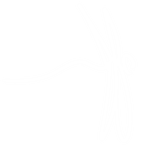 Morph's dragonfly logo