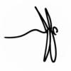 Morph's dragonfly logo